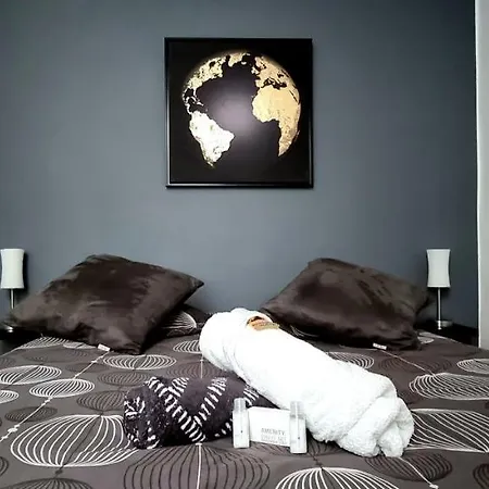 T2 Cosy - Capitole - Calme - Wi-fi - Netflix Apartment *